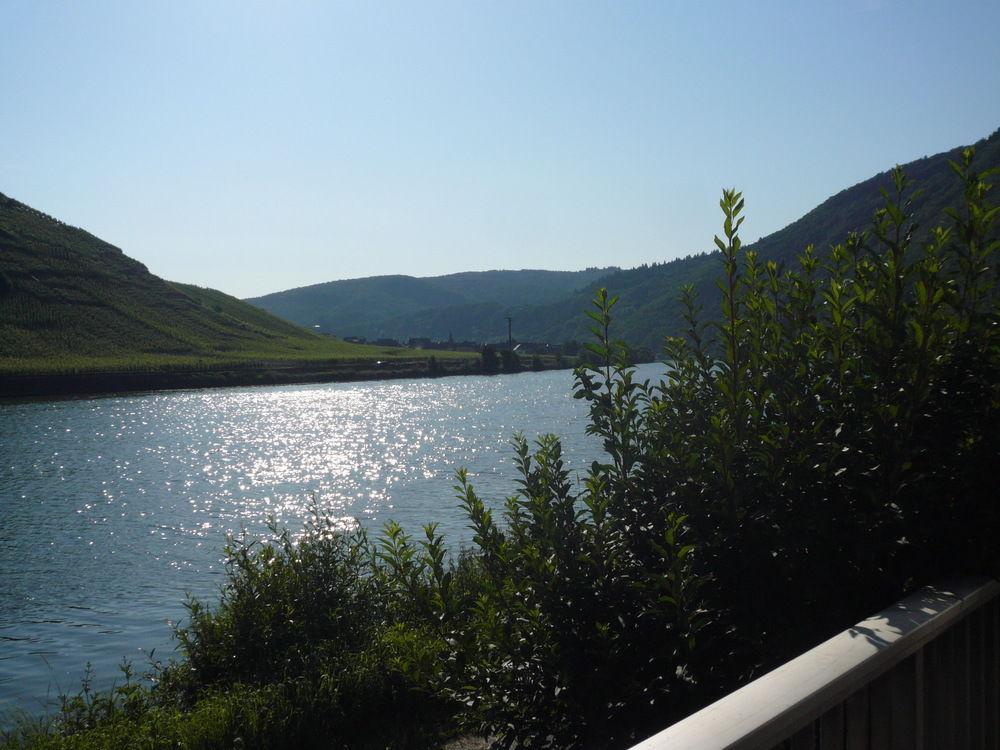 ברידרן Mosel-Landhaus Am Moselufer B&B מראה חיצוני תמונה